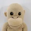 gorillatimmy