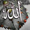 islamicvlog65