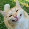 sashafeatgirl