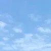 chinccf