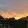 dakotarayne2