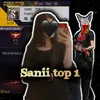 sanii_top_1