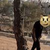 memati.abu.rabeea