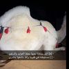 فالح