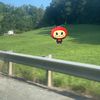 sillyrunninggoat