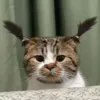 toighetcuocsongnayhaha