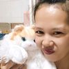 paijah242