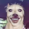pitiquititadobair