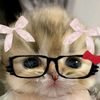 azizisyafaasadel10