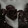 darkest_meadow