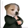 phplh5
