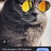 binchita2.0