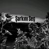 ŞarkınıSeç
