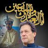 naveedafridi5340