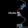 okuhle.khanyile