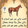 user7371886073004