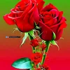 md.mahamud.rahama2