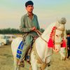 kaif4713