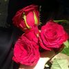 kashif.halepoto16
