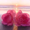 user3907362187094
