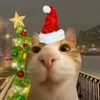 yarik_yt69_228