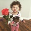 .zooweemamaa1