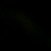 malak_273625