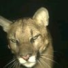 judy_20071