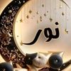 amina.nour03