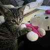 sophiaaa.aa4