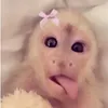 julia_no_one_cares