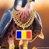 user4308856844124