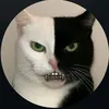 _pedro.gabriel99