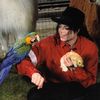 _michaelsversion
