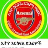 kamilworkecho