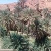 oussama.iyad27