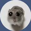 chloeowee8