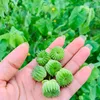 Mẹ thỏ 0339.133.786