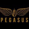 pegasus7592