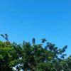 vendaval95