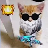 sanelcuaker9