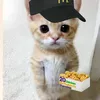 ityourboyhappychigiri