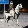 .dhi.qar