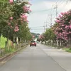 andreahikariii_