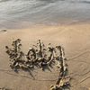 loly._397