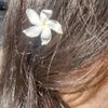 camilaaansjs6