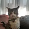 metaloverlorld