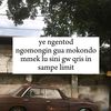 _vanzypv12