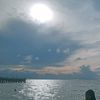 tirex_03
