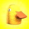 Tuamigoelpato